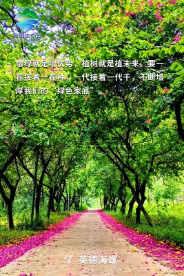 全國(guó)生態(tài)日海報(bào)-英德海螺